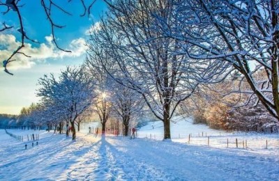 写景的散文(写景的散文名篇)