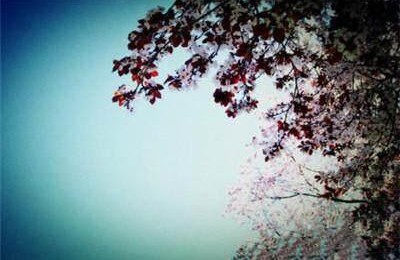 悔作文600字六年级围绕中心意思写(悔作文600字六年级围绕中心意思写优秀作文)