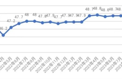 青年人调查失业率恢复发布，2024年就业形势如何？